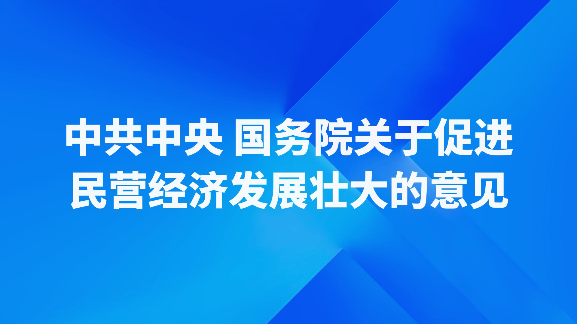 中共中央 国务院关于促进民营经济发展壮大的意见